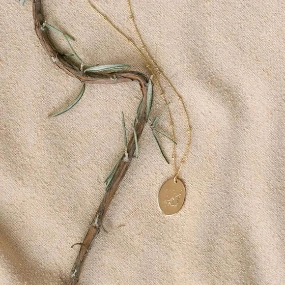 Capricorn Boho Beaded Gold Zodiac Disc Necklace - Picture 12 of 12